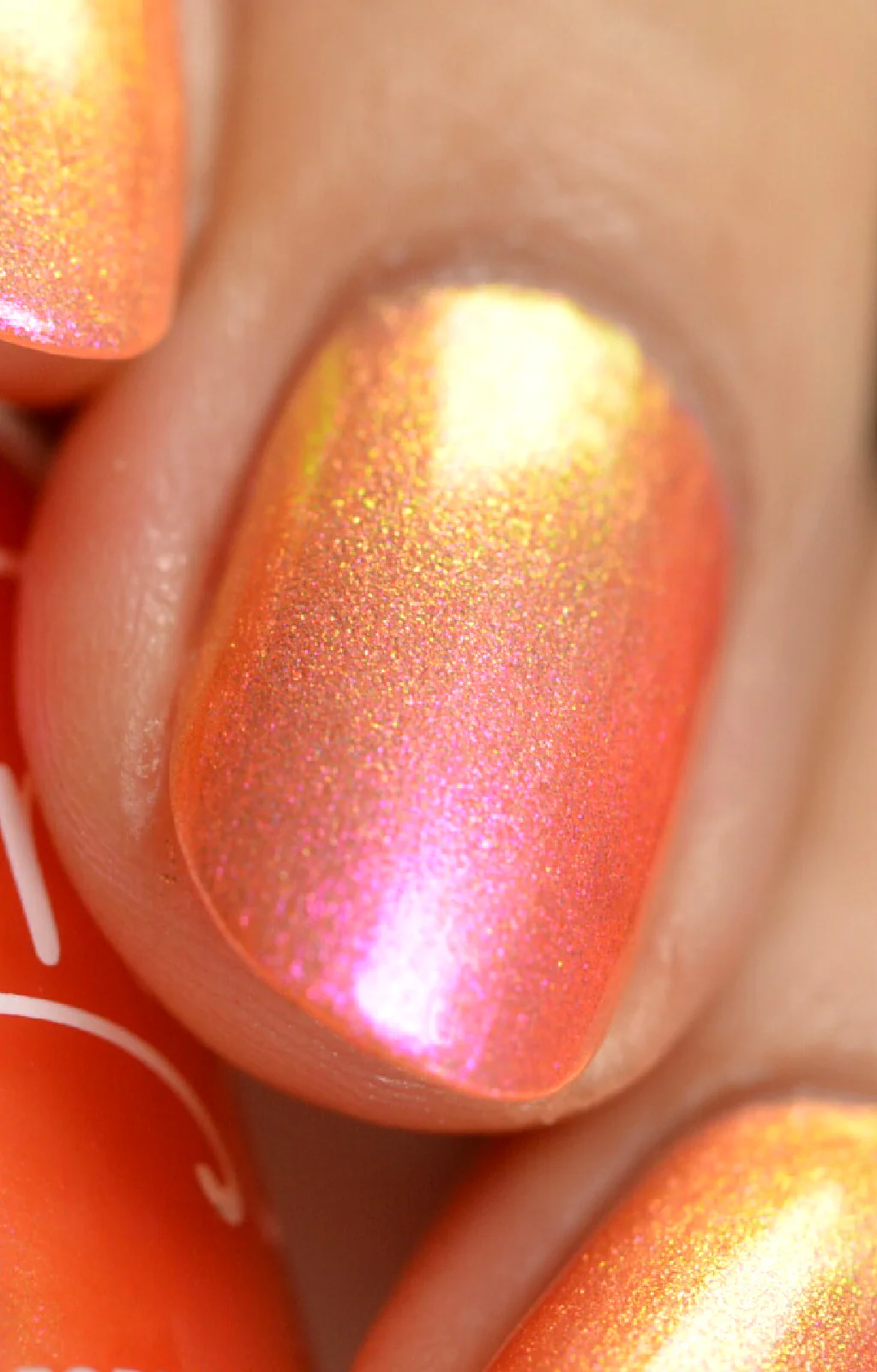Thumbnail 18