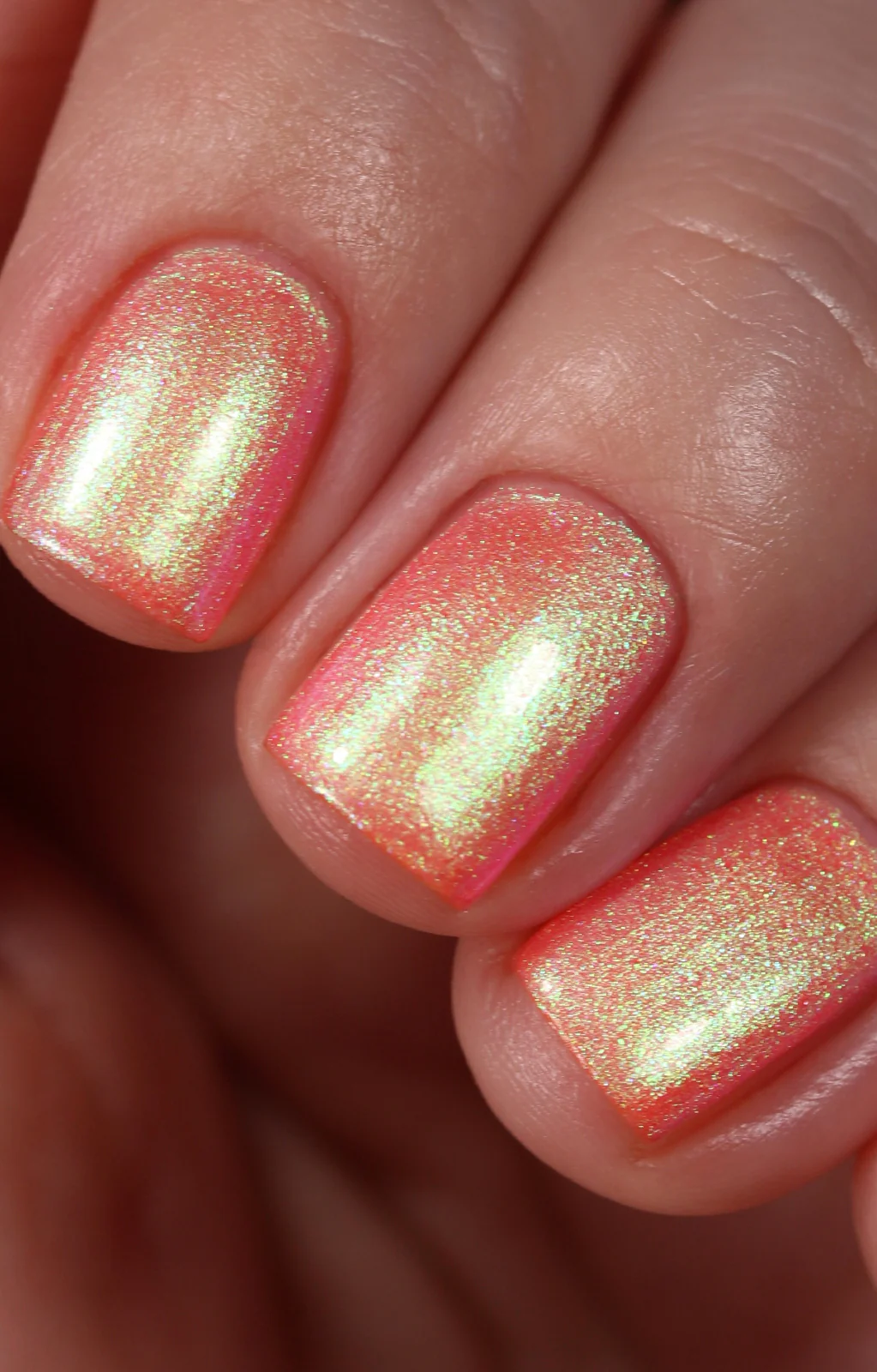 Thumbnail 13